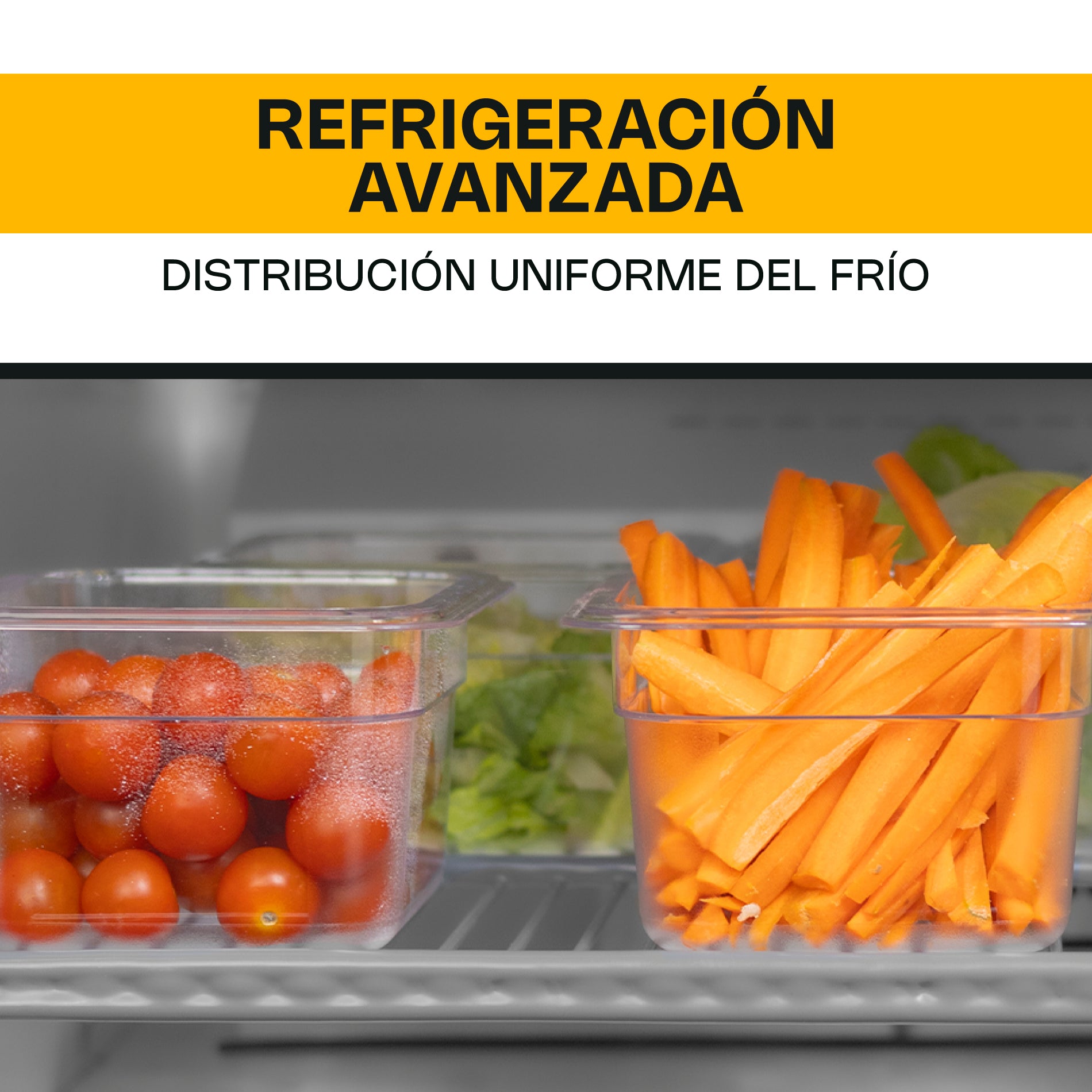 Rhino MERBAJ-27 Mesa Refrigerada Bajo Barra 6.9 Pies