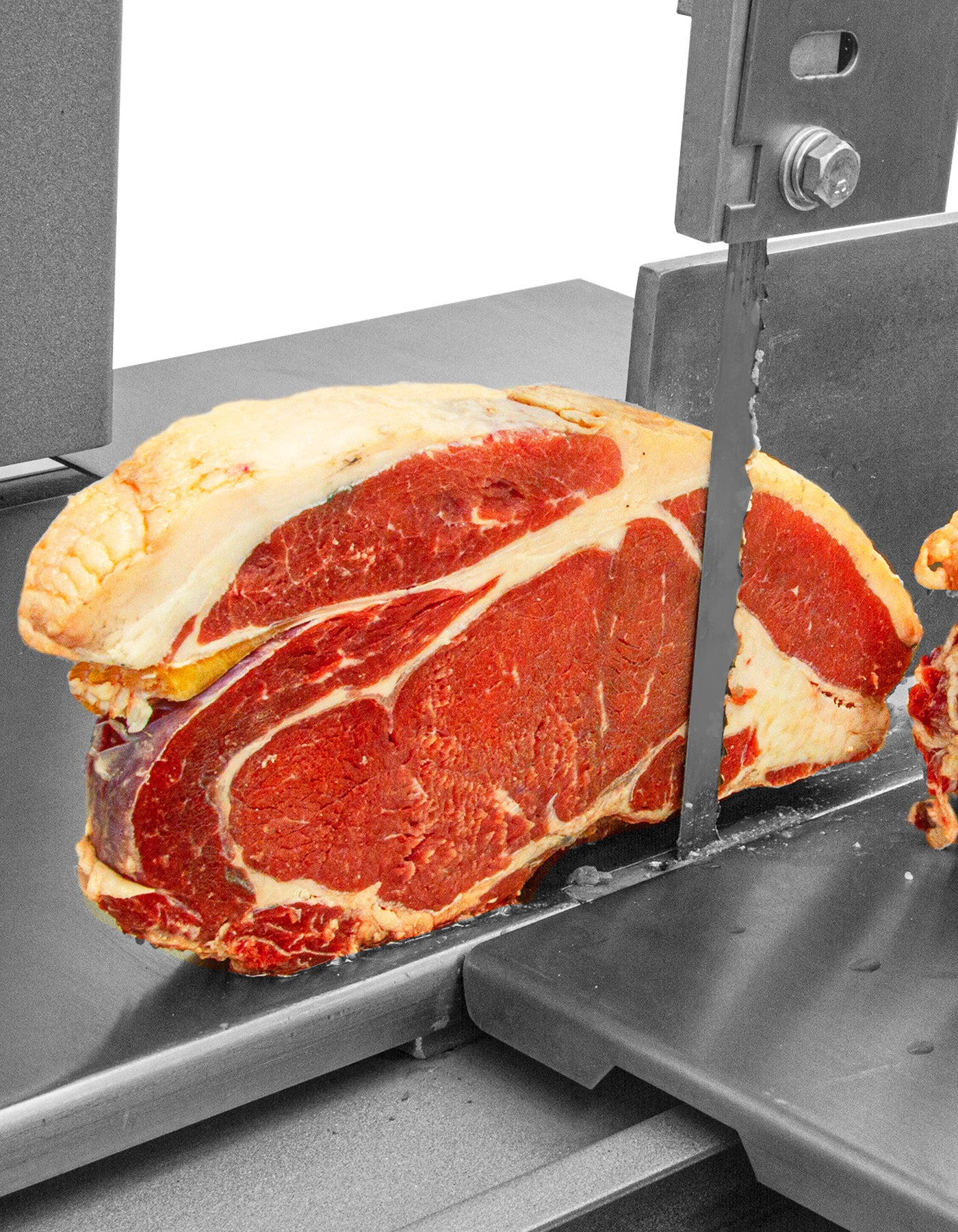 Rhino SICA-295 Sierra Carnicera 1.5 Hp