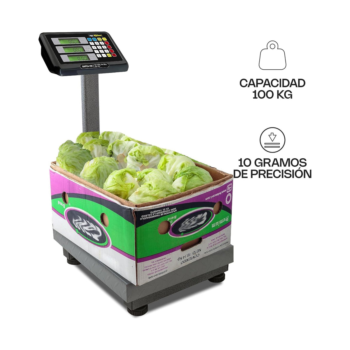 Báscula de Plataforma Plegable 100 kg Rhino BAPCA-100 · vista 4
