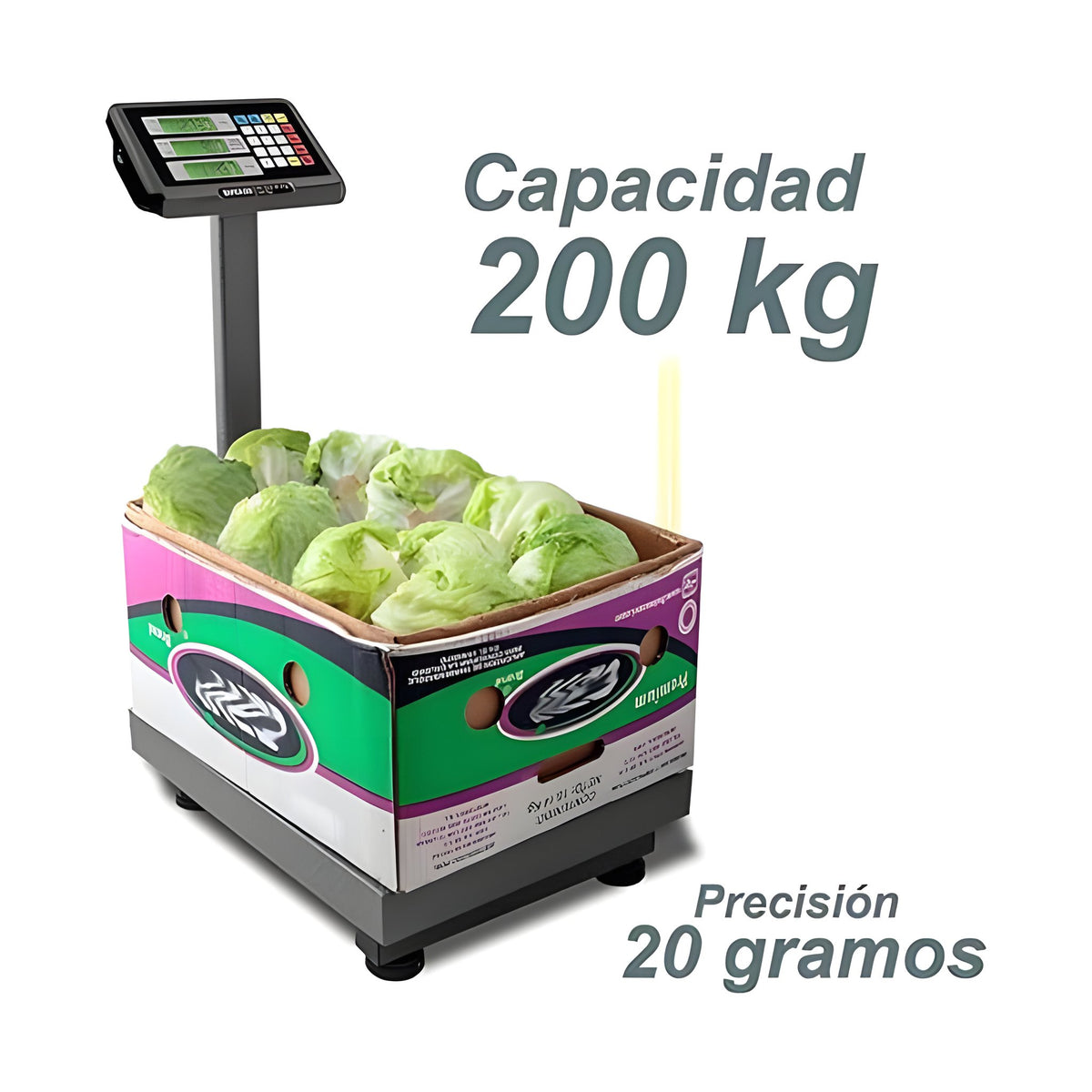 Báscula de Plataforma Plegable 200 kg Rhino BAPCA-200 · vista 2