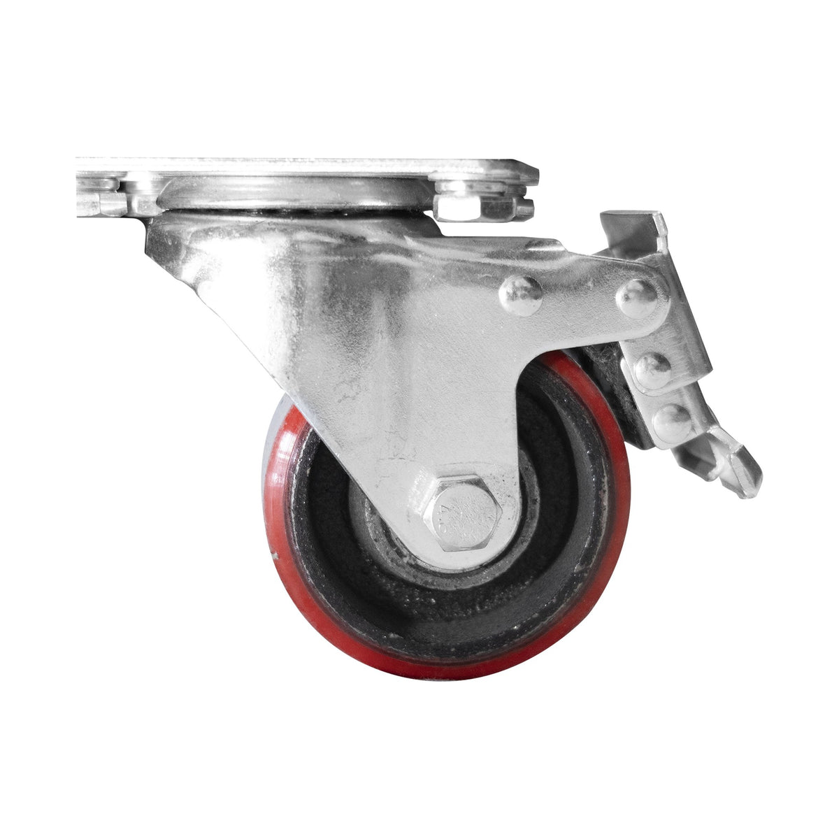 Báscula de 800 kg con Ruedas Rhino BAPCA-800 · vista 3
