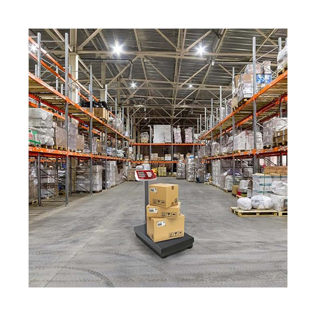 Báscula de Plataforma Plegable 400 kg Vinson BAPLE-400 · vista 3