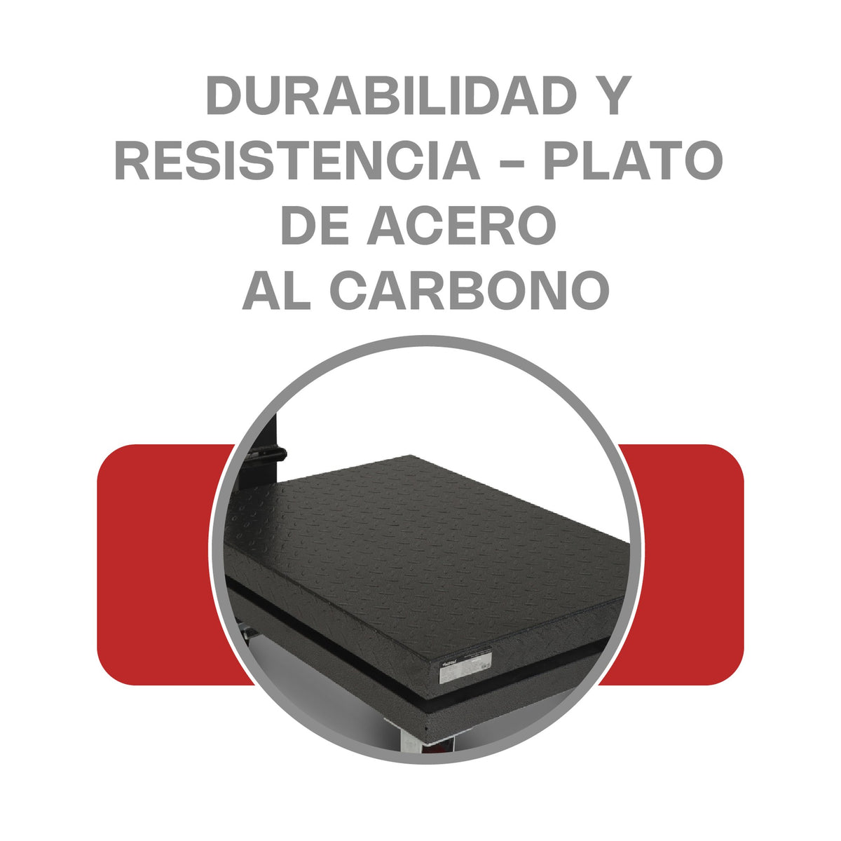 Báscula de Plataforma Plegable 800 kg Vinson BAPLE-800 · vista 3