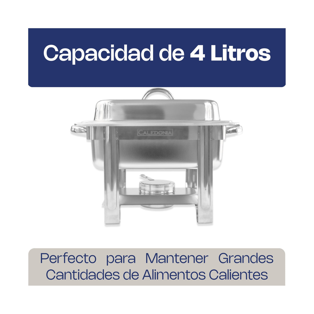 Chafer Económico Medio Caledonia CHEME-4 · vista 3