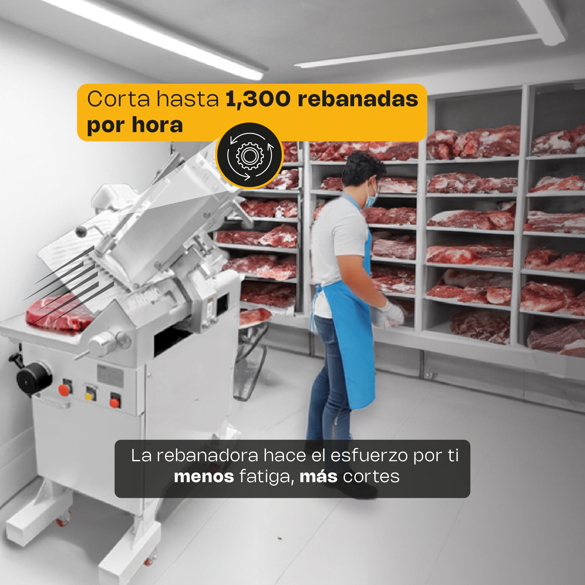 Rhino REBAC-363 Rebanadora Automática para Carne Semi Congelada 30 Kg 1 Hp 110V