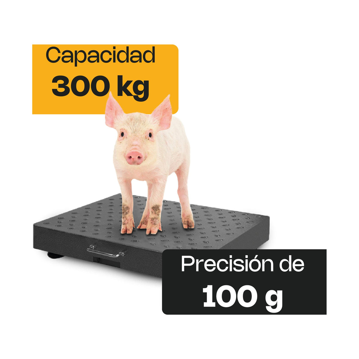 Báscula de Plataforma Inalámbrica 300 kg Rhino BAPIC-300 · vista 2
