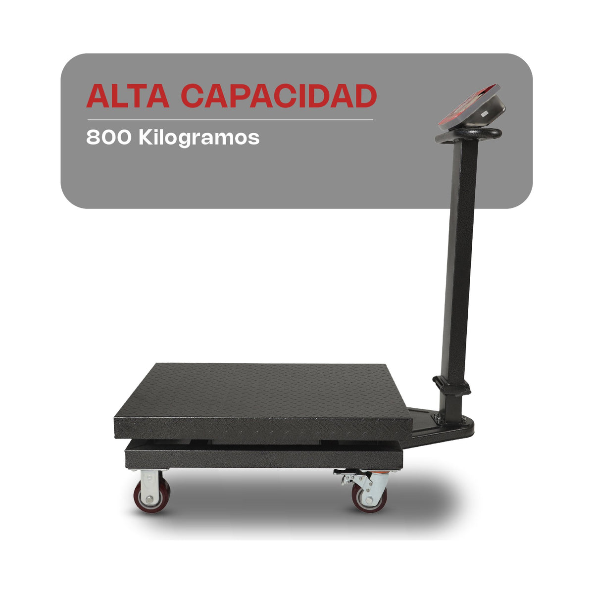 Báscula de Plataforma Plegable 800 kg Vinson BAPLE-800 · vista 2