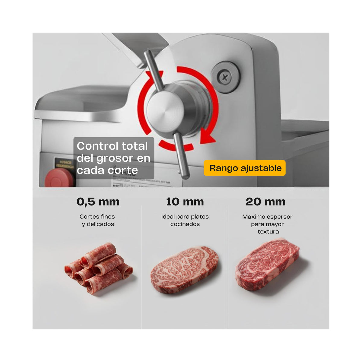 Rebanadora de Carne Semi Congelada 350 mm Rhino REBEN-350 · vista 4