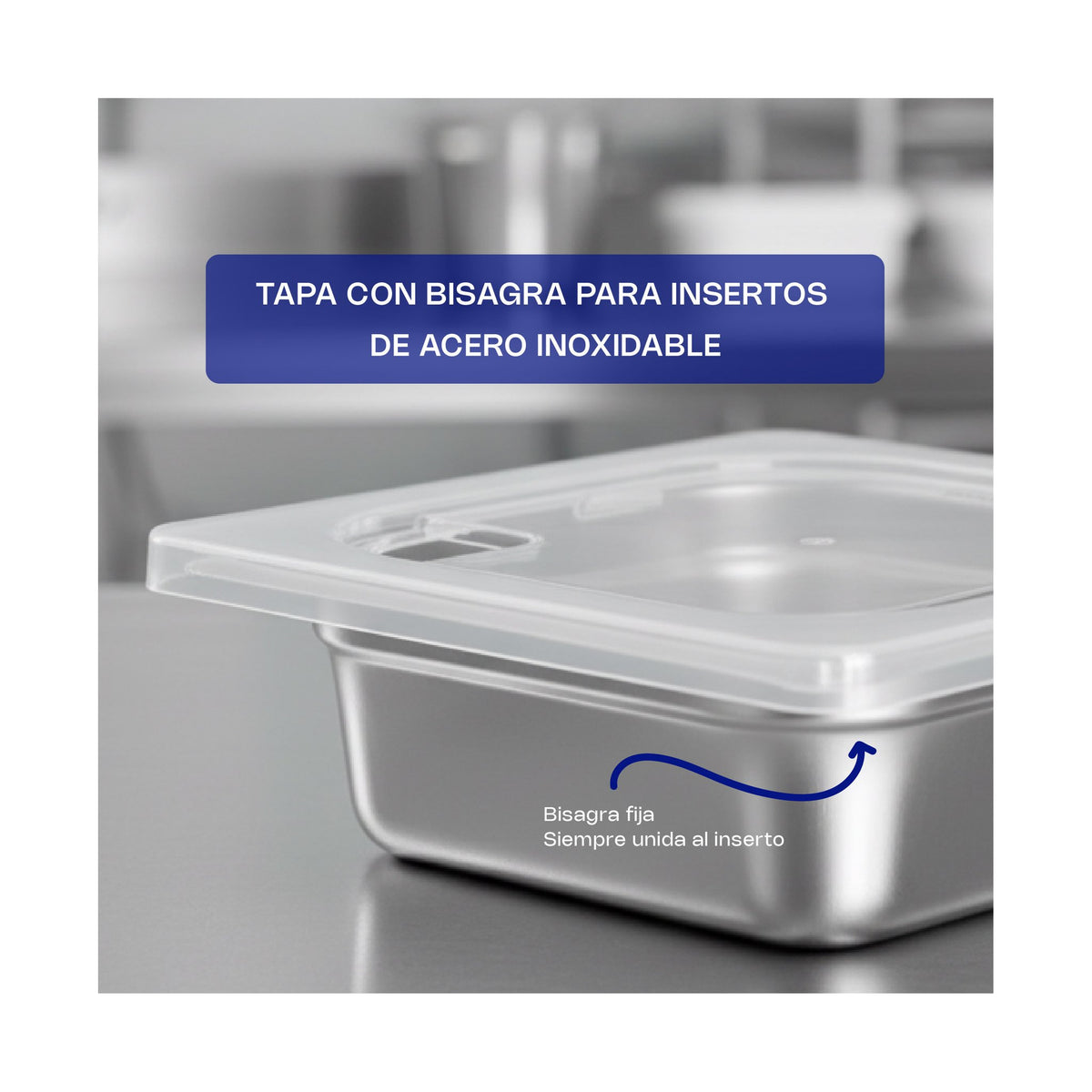 Tapa con Bisagra de Policarbonato para Inserto Caledonia · Sexto · vista 2